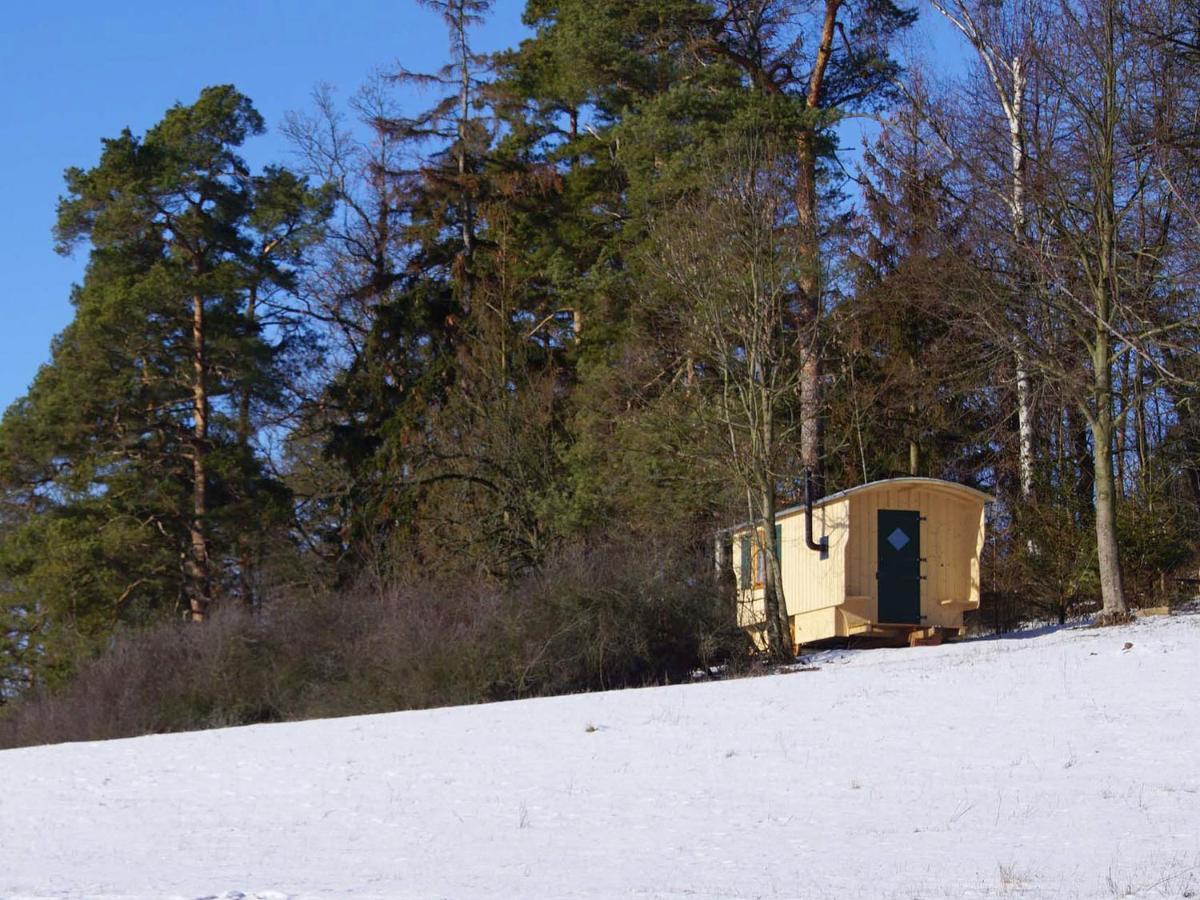 Berghof Lejlighed Zeulenroda-Triebes Eksteriør billede